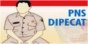 PNS-dipecat
